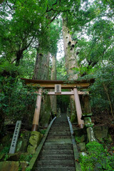 和歌山県田辺市 中辺路町 継桜王子（野中の一方杉）