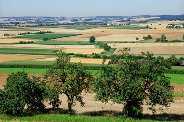 Fototapeta na wymiar Landscape in southern Germany in July.