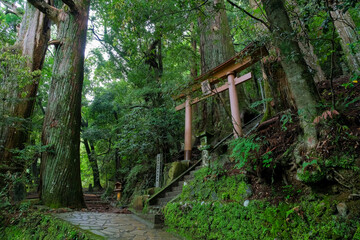 和歌山県田辺市 中辺路町 継桜王子（野中の一方杉）