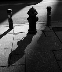 fire hydrant in silhouette black and white
