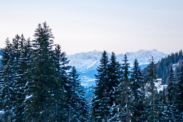 Dolomiti Mountains at Sunset with Pink Colored Sky at Sunset in the North of Italy