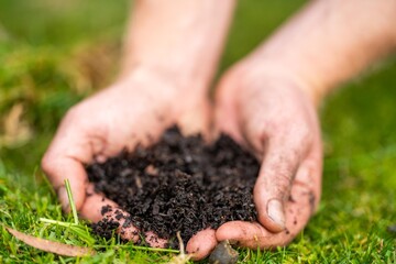 farmer holding soil in his hand on a farm in australia