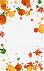 Yellow Leaf Background Transparent Vector. Green Decorative Frame. Burgundy Gourd Nature Illustration. Vegetable Picking. Cute Card.