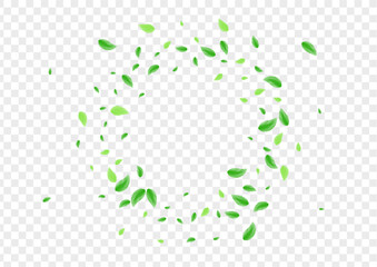 Green Greenery Background Transparent Vector. Vegetation Label Texture. Symbol Design. Greenish Wild Illustration. Foliage Grow.