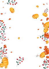 Orange Leaves Background White Vector. Pumpkin Cozy. Green October Set. Drawing Texture. Red Rowan Oak Illustration.