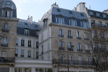 Paris building façades, characteristic roofs, and more.

It gathers many types of buildings, coming from various districts of the city; all passing through various settings of the day.