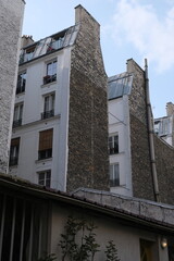 Paris building façades, characteristic roofs, and more.

It gathers many types of buildings, coming from various districts of the city; all passing through various settings of the day.