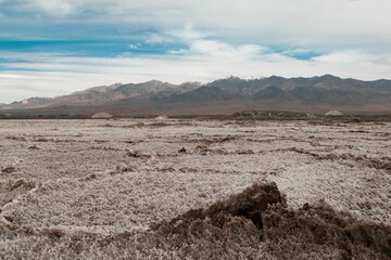 Vast grassy plain with a majestic mountain range in the background