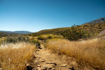 a grassy road in Palm Springs, California