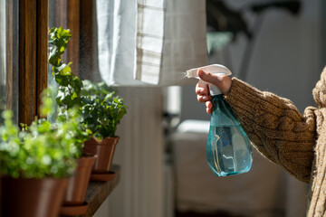 Woman sprays plants in flower pots with clean water from bottle. Closeup hand with sprayer. Caring...