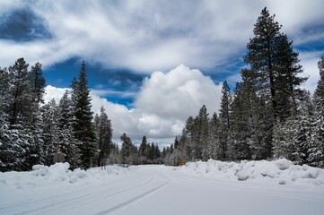Picturesque winter landscape featuring a winding snow trach blanketed in snow in Central Oregon
