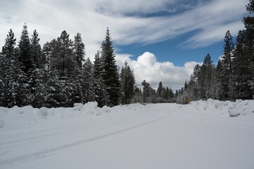 Fototapeta na wymiar Picturesque winter landscape featuring a winding snow trach blanketed in snow in Central Oregon