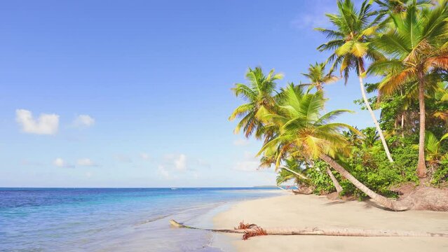 Landscape of a tropical beach with yellow sand, palm trees, turquoise ocean against a blue sky on a sunny day. Ideal landscape backdrop for a relaxing holiday, Jamaica island. Beach holiday concept.