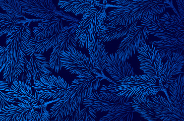 Winter background with pine branches on dark blue background. - 618438589