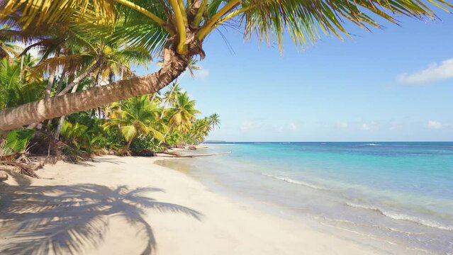 Bright coconut palms on a sunny sandy beach and azure sea on the paradise island of Jamaica. Desert island with palm trees on a hot summer day. Tropical vacation on a paradise idyllic beach.