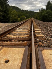 Vertical shot of a pair of railroad tracks in Whitefish Montana surrounded by a forest