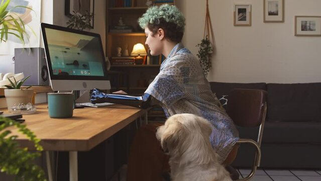 Medium shot of young freelance girl with arm prosthesis using desktop computer and petting her labrador dog while working from home at daytime