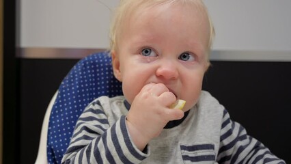 Beautiful baby boy with blue eyes sitting in child seat, eating fresh sour lemon and face grimacing. Close-up portrait, facial expression.