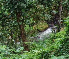 Fototapeta na wymiar Secret Waterfall, Indonesia, Bali province