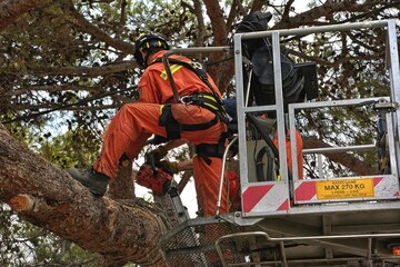 Firefighters on platform doing tree cleaning work