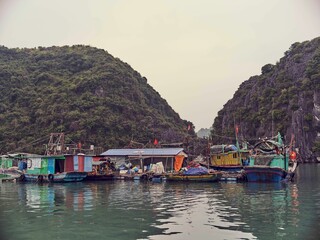 Picturesque scene of various boats docked at a marina near cliffs in Cat Ba, Vietnam