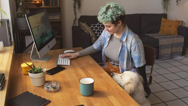 Medium shot of Caucasian teenage girl with short curly blue hair and arm prosthesis using computer and playing with her dog while working from home at daytime
