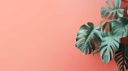 Fototapeta na wymiar Philodendron's Touch, Minimal Summer Concept with Tropical Leaves on Vibrant Coral Color Background, generative ai.