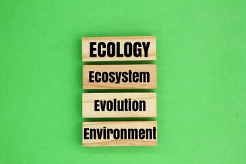wood with ecologically related words ecosystem, evolution and environment. ecological concept. sustainable development
