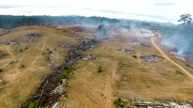Area of rainforest destruction in Africa. Mass felling and burning of trees. Aerial view.