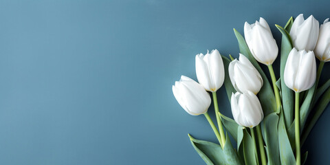 Bouquet of white tulips on blue background. Top view with copy space