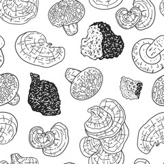 Hand drawn medicinal mushrooms seamless pattern