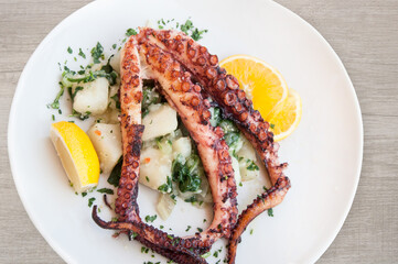 Grilled octupus on white plate top view