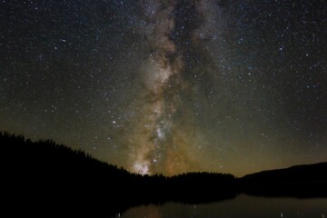 Beautiful shot of a starry milky way night sky over a forest