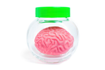 Human Brain in a Jar Isolated on White