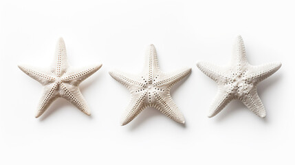 3 white starfishes, white background.
Generative AI image.