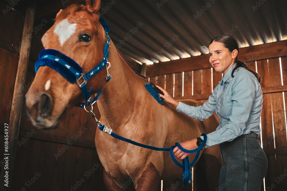 Wall mural equestrian, ranch and a woman with her horse in a barn, brushing fur before training as a jockey. fa