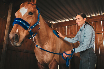 Equestrian, ranch and a woman with her horse in a barn, brushing fur before training as a jockey....