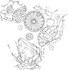 Flying various cut fruit with juice or water splash. Liquid drops. Vector illustration in hand drawn sketch doodle style. Line art ingredient for fresh juice isolated on white. Still life eco fruits