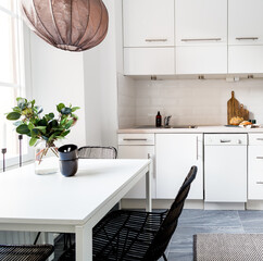 stylish modern contemporary kitchen interior