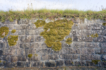 ancient brick wall with grass and moss