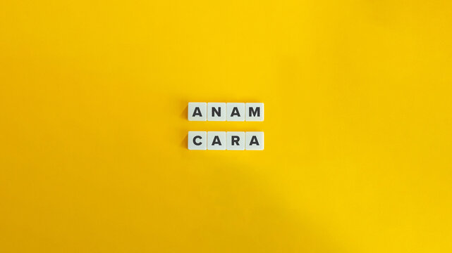 Anam Cara (Soul Mate) Term 