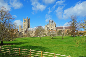 Fototapeta premium View Of Ely Cathedral fronted by a green meadow and blue sky with fluffy white clouds in Ely Cambridgeshire, UK