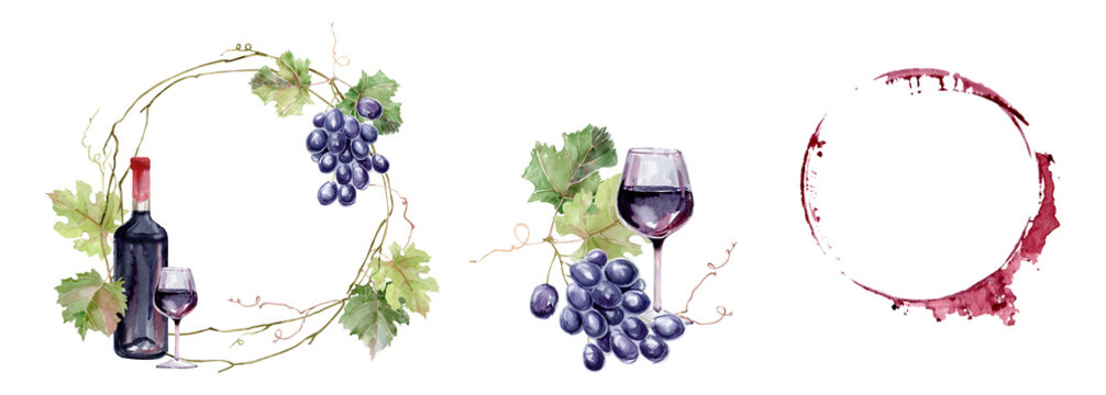 Watercolor wine set with grape and corkscrew, Watercolor bunches of blue grapes, green leaves and branches, bottle of red wine with wine glass and grapes, For cafe menu design, posters, restaurant dec