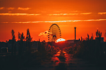 Fototapete bei efototapeten.de bestellen   