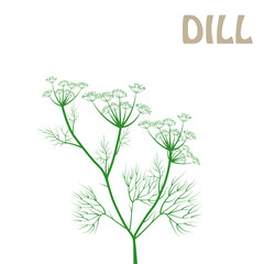 vector linear illustrations of dill, sulfur root sketch, fennel - 618464136