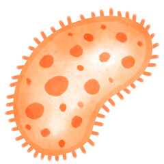 Bacteria, virus, Germ