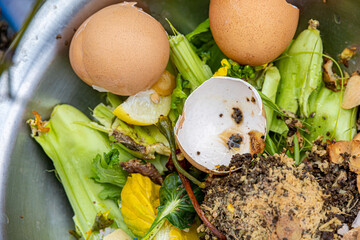 Using vegetable waste and egg shells to make compost as a leisure hobby 