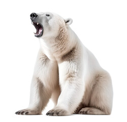sitting polar bear with open mouth, isolated background. Generative Ai