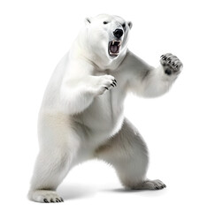 standing polar bear rady to fight, isolated background. Generative Ai