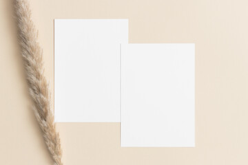 Two white invitation cards mockup with a pampas decoration on the beige table. 5x7 ratio, similar...